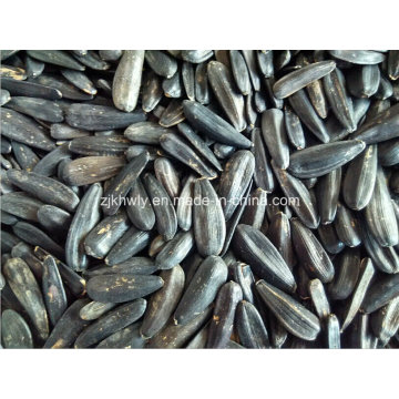 Black Sunflower Seed 2015crop 330-340pieces/50g